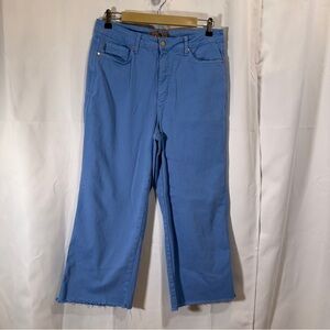 Judy Blue Cropped Wide Leg Jeans in Vibrant Blue